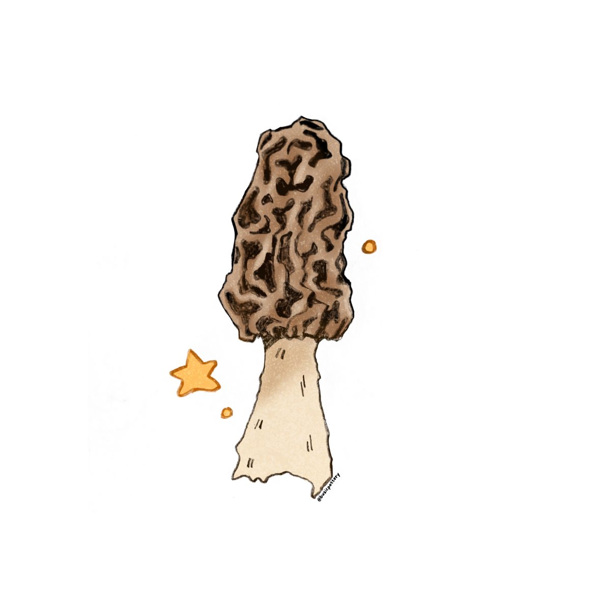 Morel Mushroom Sticker