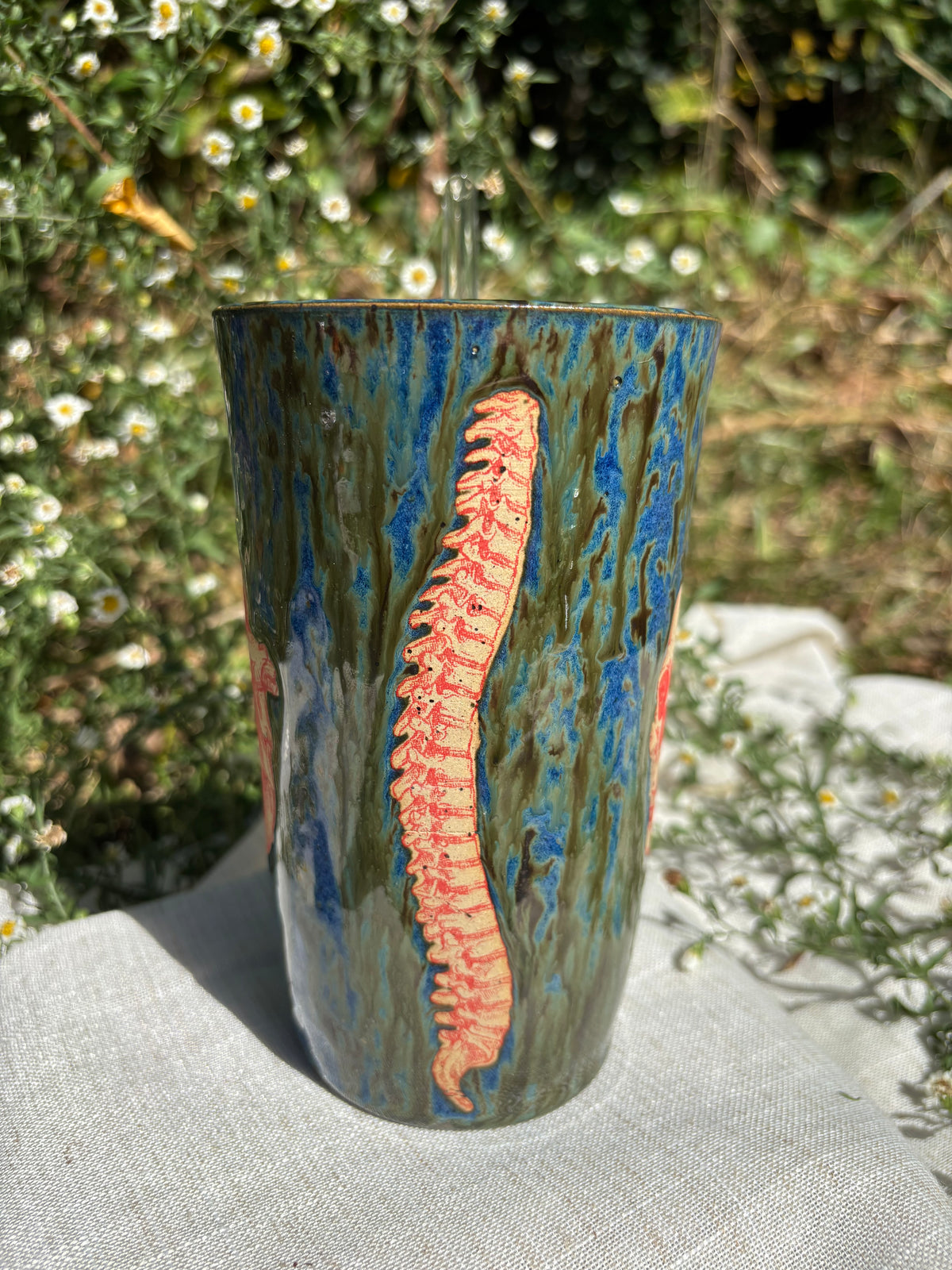 Thermal Anatomy Straw Cup