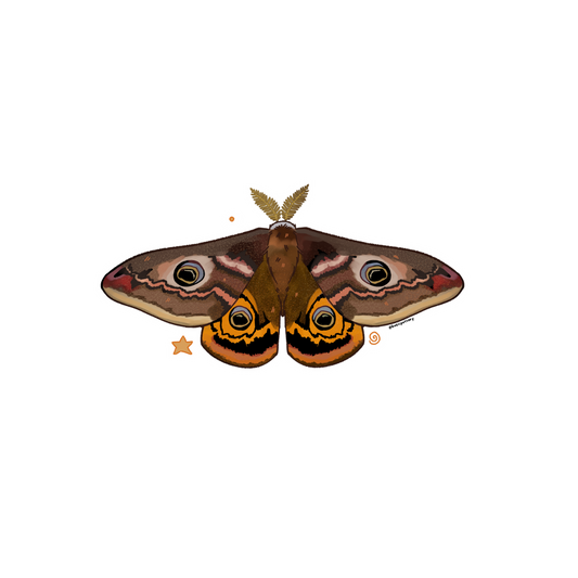 Emperor Moth Sticker