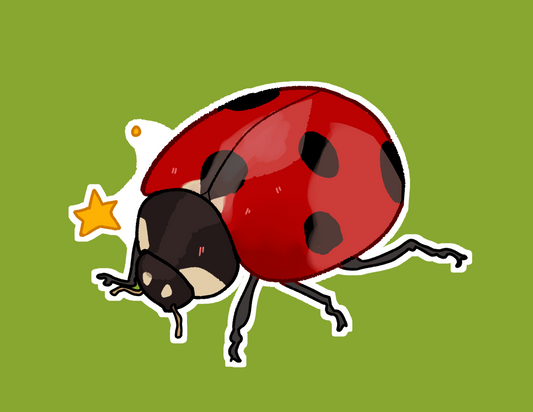 Ladybug Print
