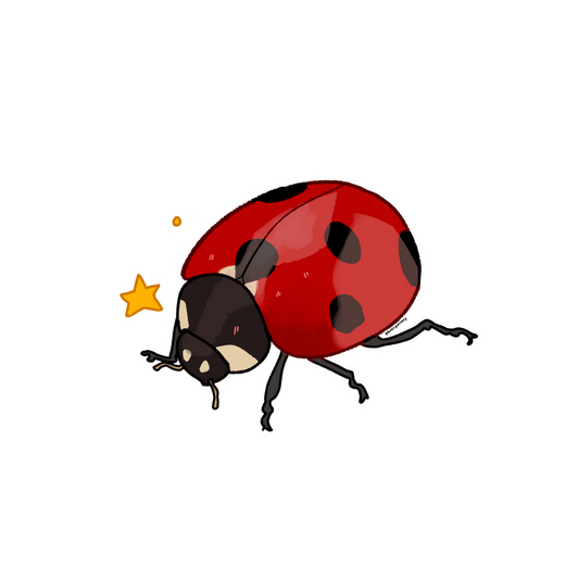 Ladybug Sticker
