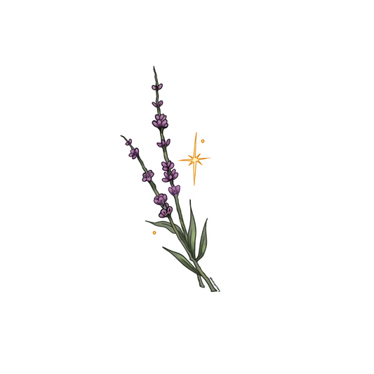 Lavender Sticker
