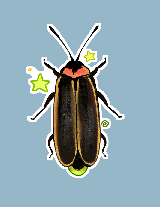 Lightning Bug Print