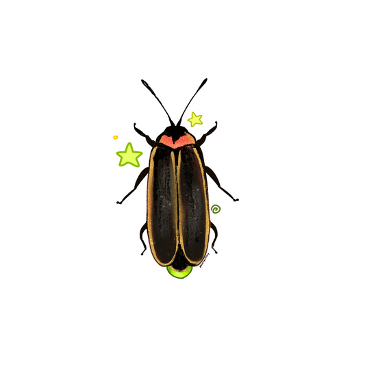 Lightning Bug Sticker