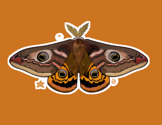 Lo Moth Print