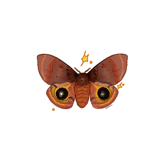 Lo Moth Sticker