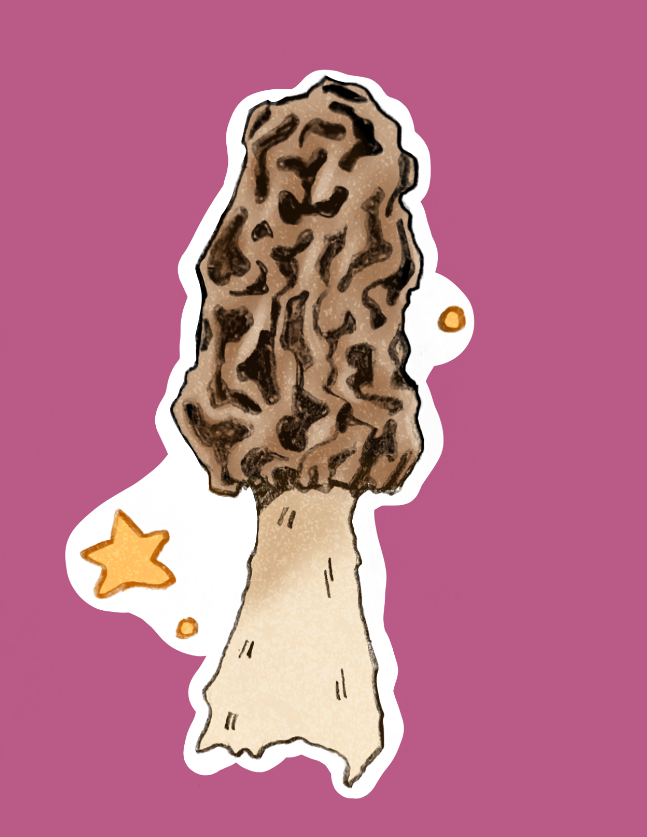 Morel Mushroom Print
