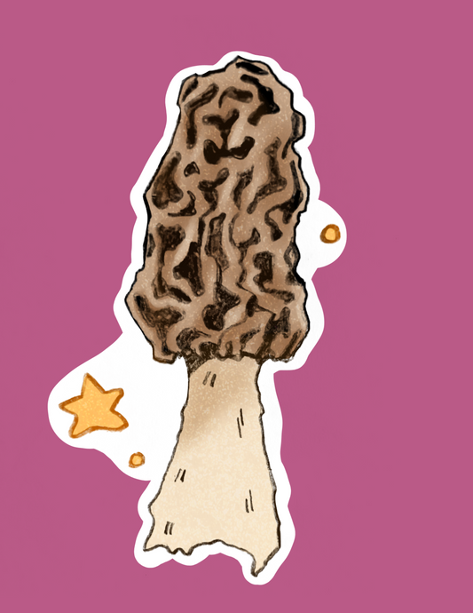 Morel Mushroom Print